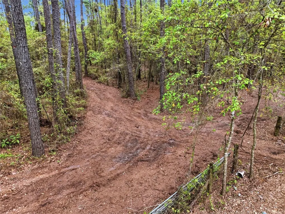 NW COUNTY ROAD 231 Gainesville, FL 32609