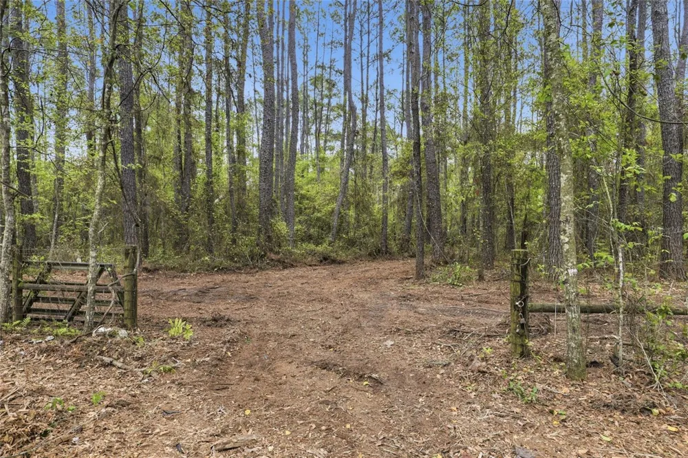 NW COUNTY ROAD 231 Gainesville, FL 32609