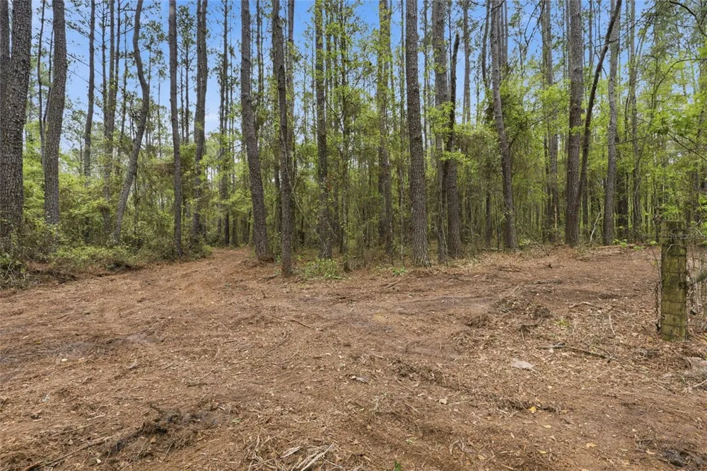 NW COUNTY ROAD 231 Gainesville, FL 32609