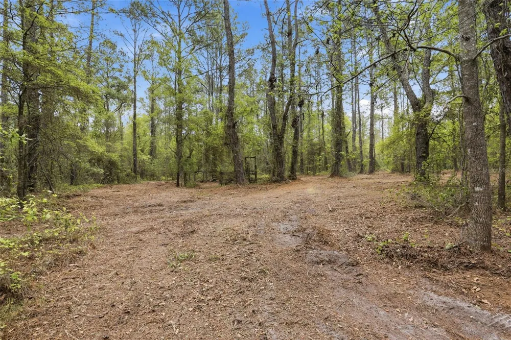 NW COUNTY ROAD 231 Gainesville, FL 32609