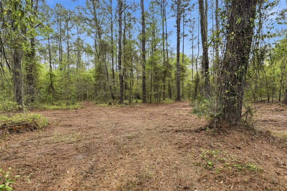 NW COUNTY ROAD 231 Gainesville, FL 32609