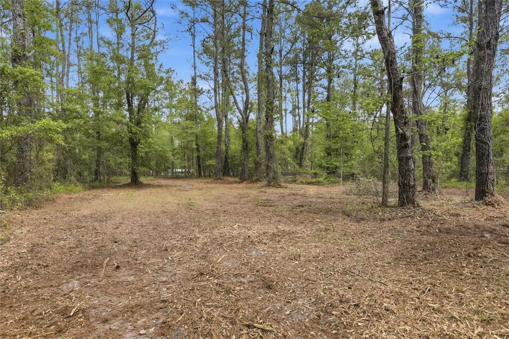 NW COUNTY ROAD 231 Gainesville, FL 32609