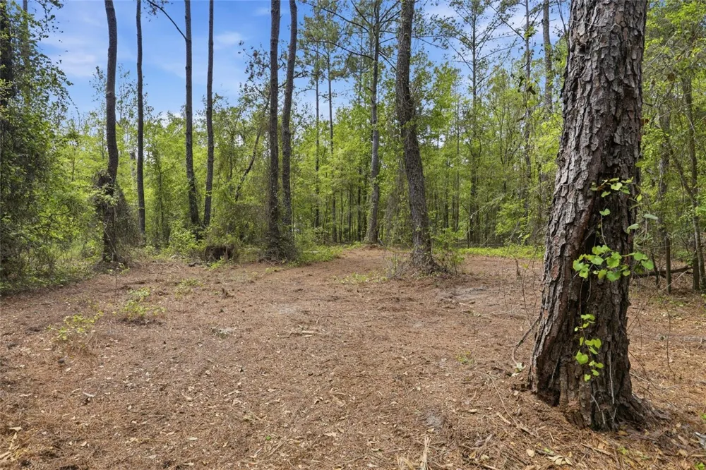 NW COUNTY ROAD 231 Gainesville, FL 32609