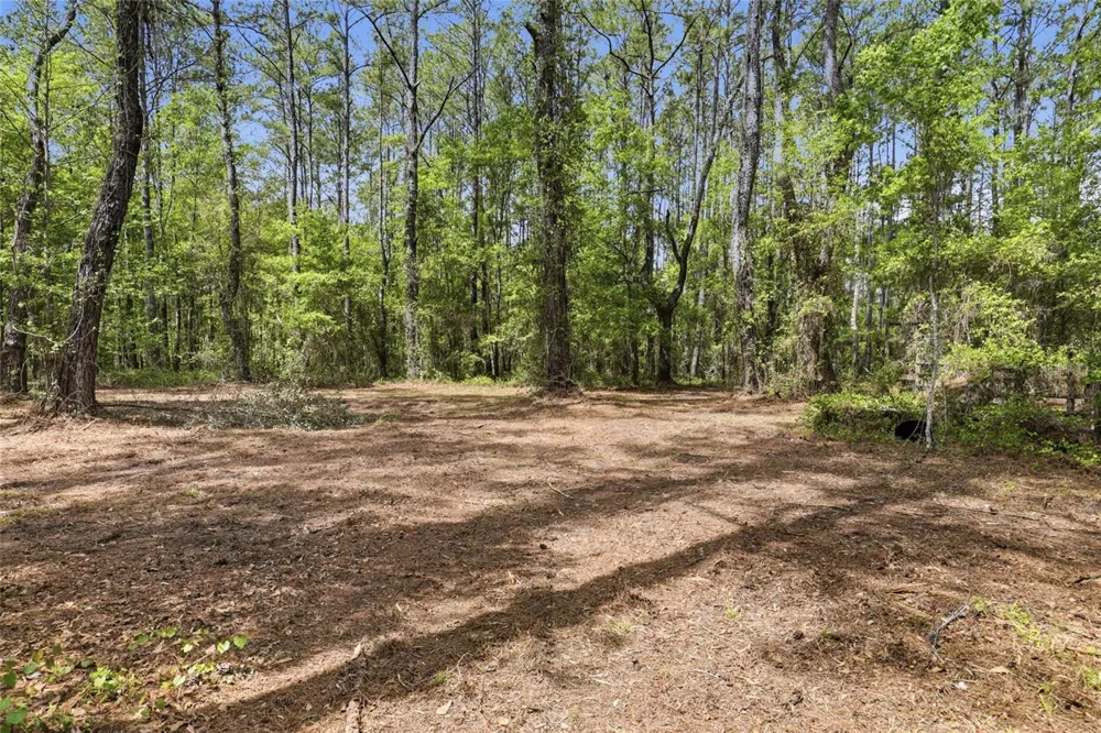 NW COUNTY ROAD 231 Gainesville, FL 32609
