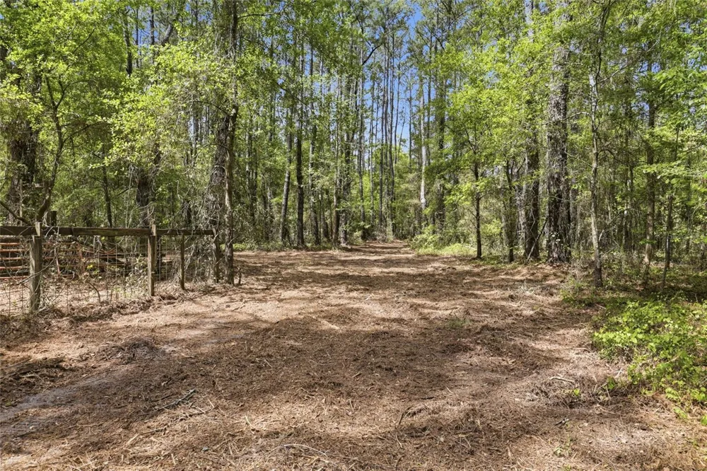 NW COUNTY ROAD 231 Gainesville, FL 32609