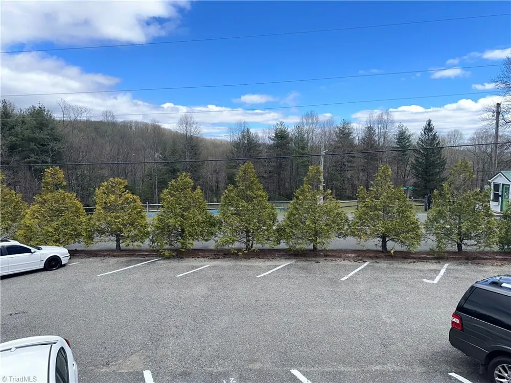 96 Cascade Trail Fancy Gap, VA 24328