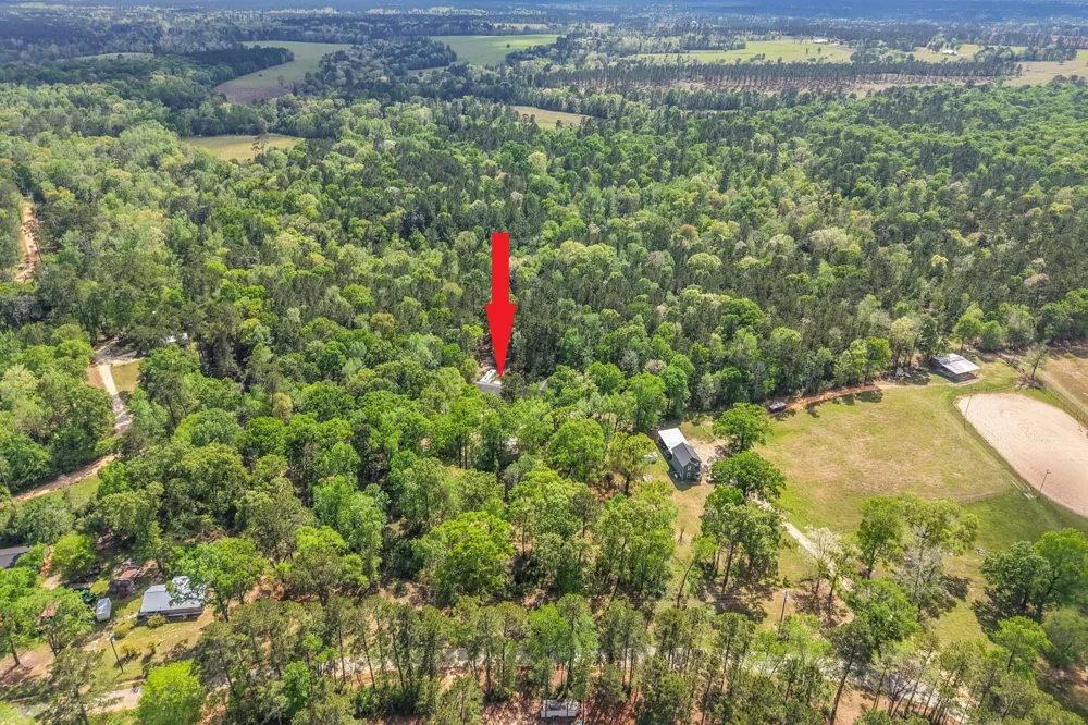 1290 Spring Ridge Road Coldspring, TX 77331