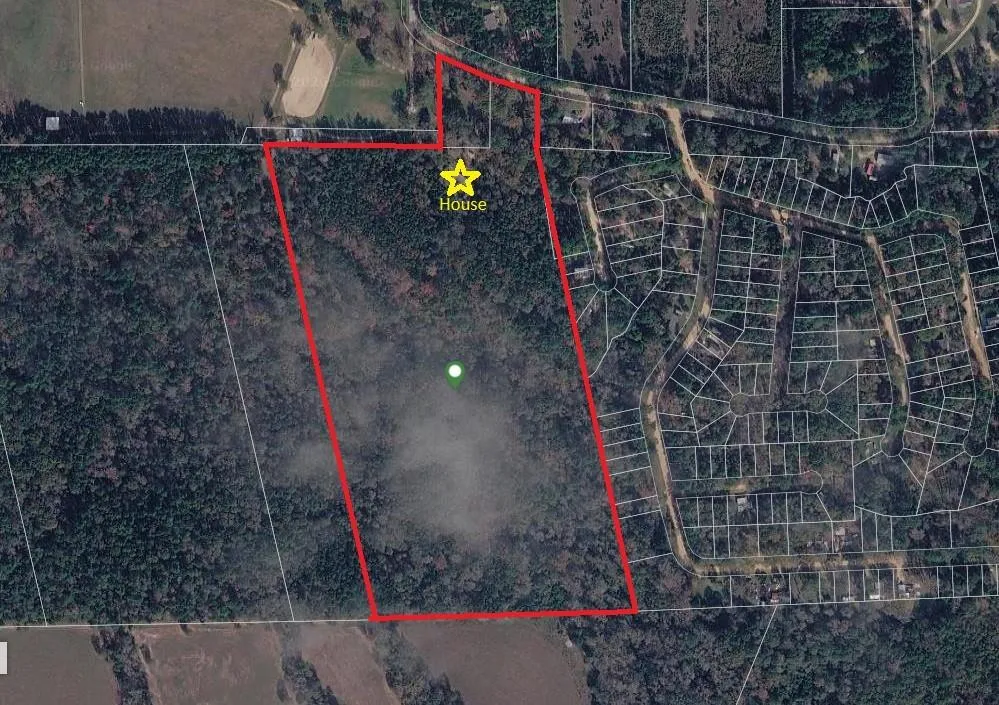 1290 Spring Ridge Road Coldspring, TX 77331