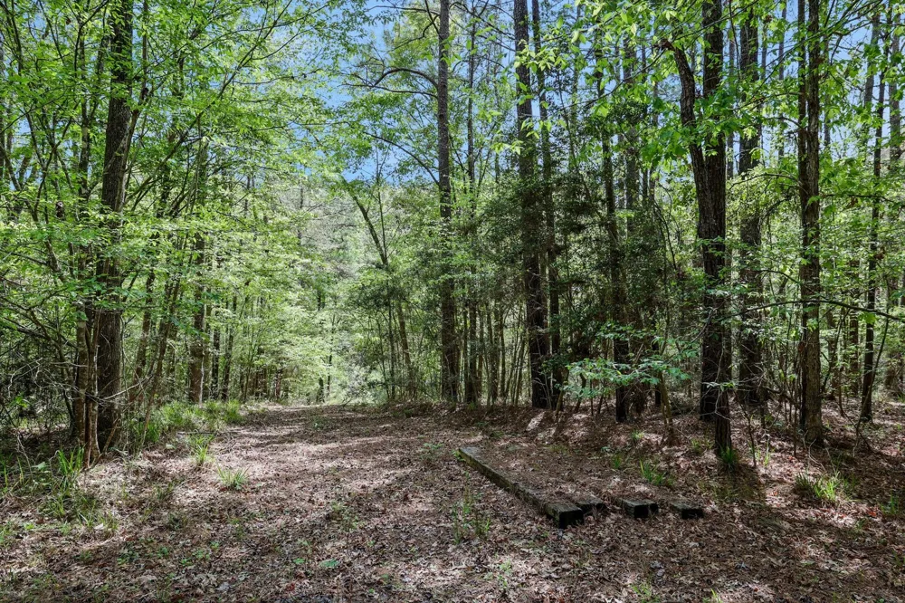1290 Spring Ridge Road Coldspring, TX 77331