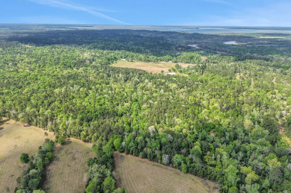 1290 Spring Ridge Road Coldspring, TX 77331