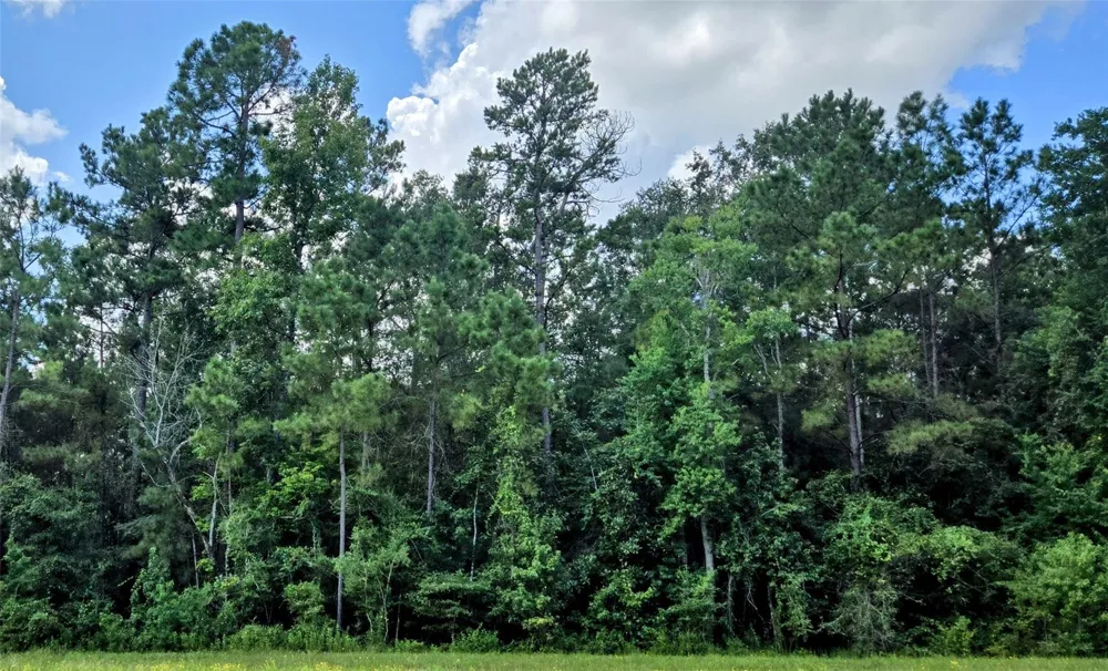 191 Heartland Road New Waverly, TX 77358