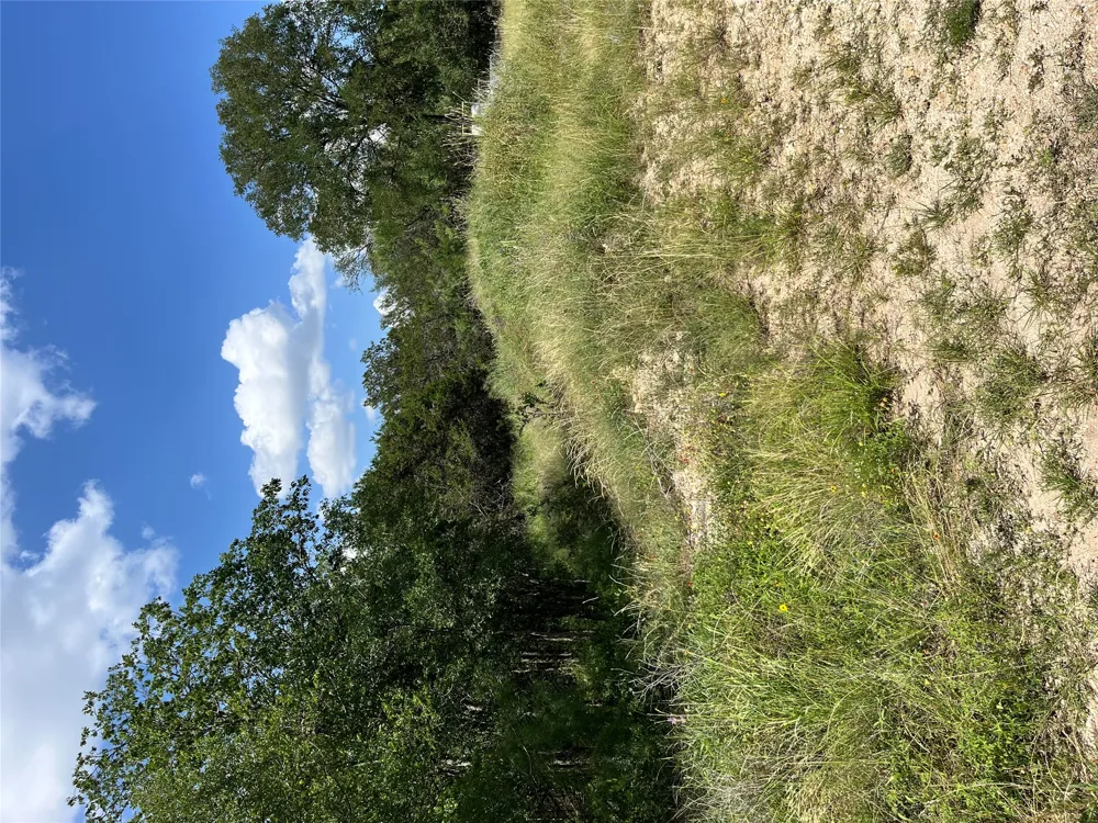 715 Silver Street Burnet, TX 78611