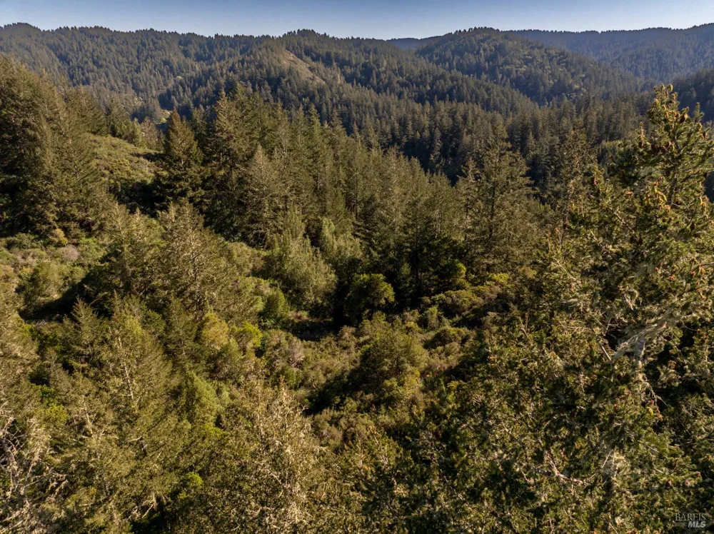 Vista Avenue Forest Knolls, CA 94933