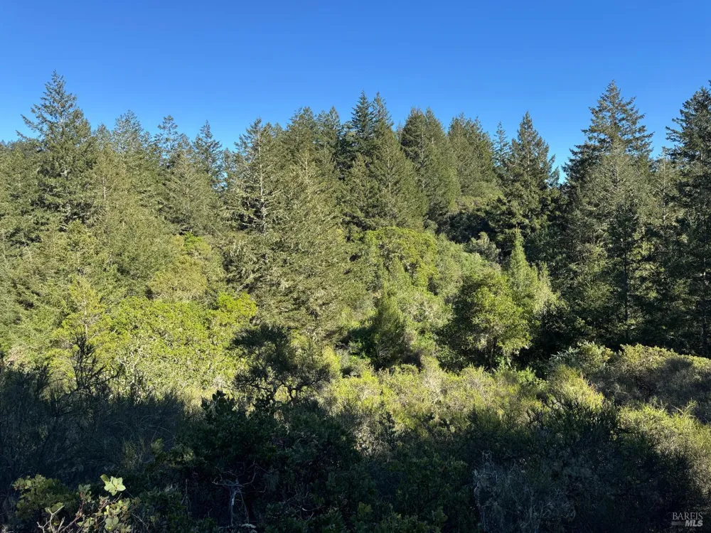 Vista Avenue Forest Knolls, CA 94933