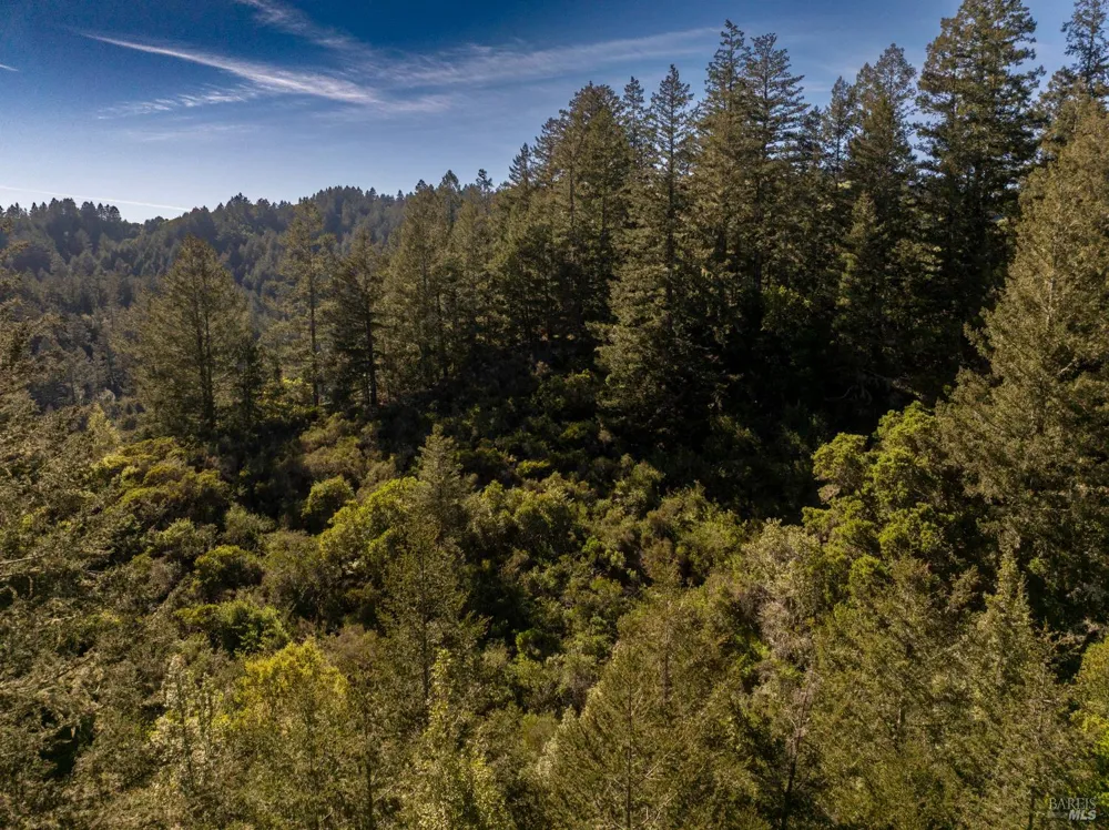 Vista Avenue Forest Knolls, CA 94933