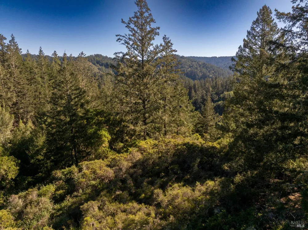 Vista Avenue Forest Knolls, CA 94933