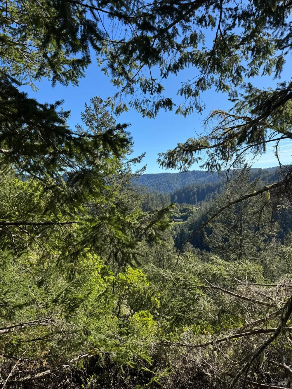 Vista Avenue Forest Knolls, CA 94933