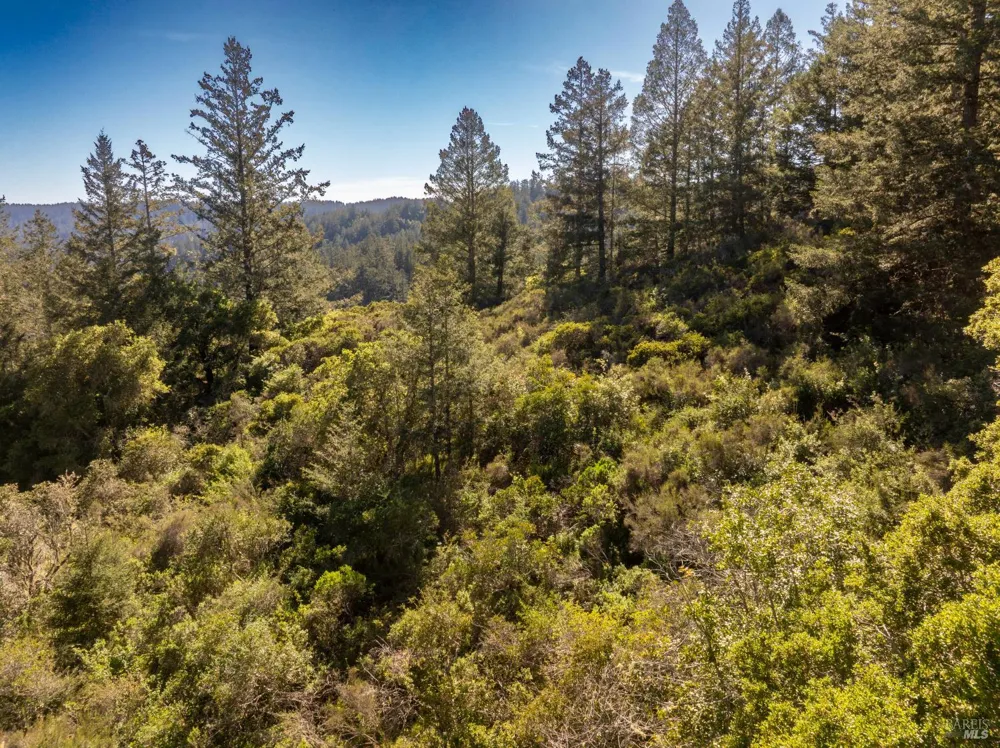 Vista Avenue Forest Knolls, CA 94933