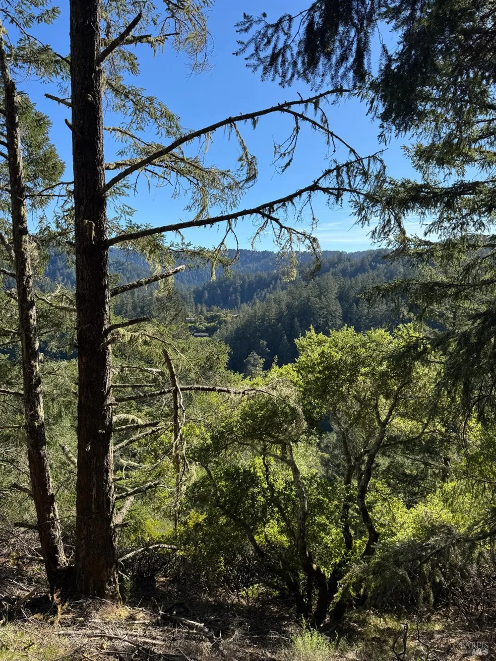 Vista Avenue Forest Knolls, CA 94933