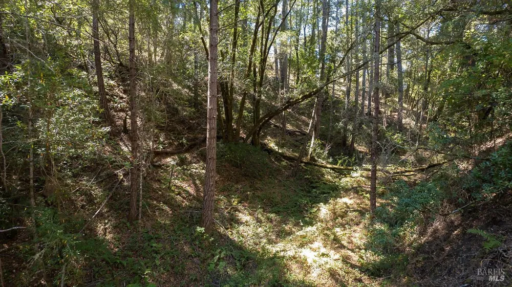Vista Avenue Forest Knolls, CA 94933