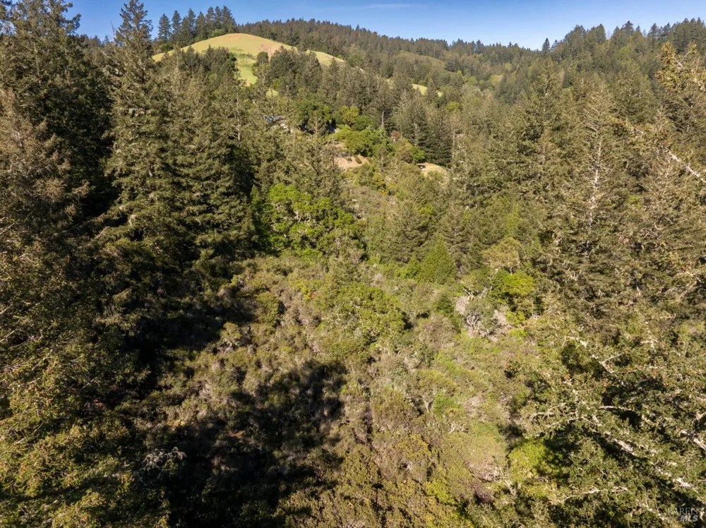 Vista Avenue Forest Knolls, CA 94933