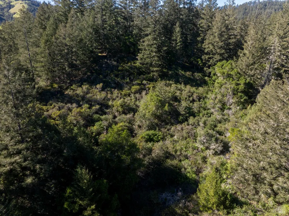 Vista Avenue Forest Knolls, CA 94933