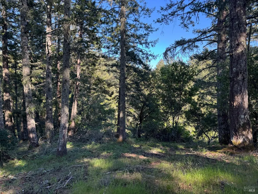 Vista Avenue Forest Knolls, CA 94933