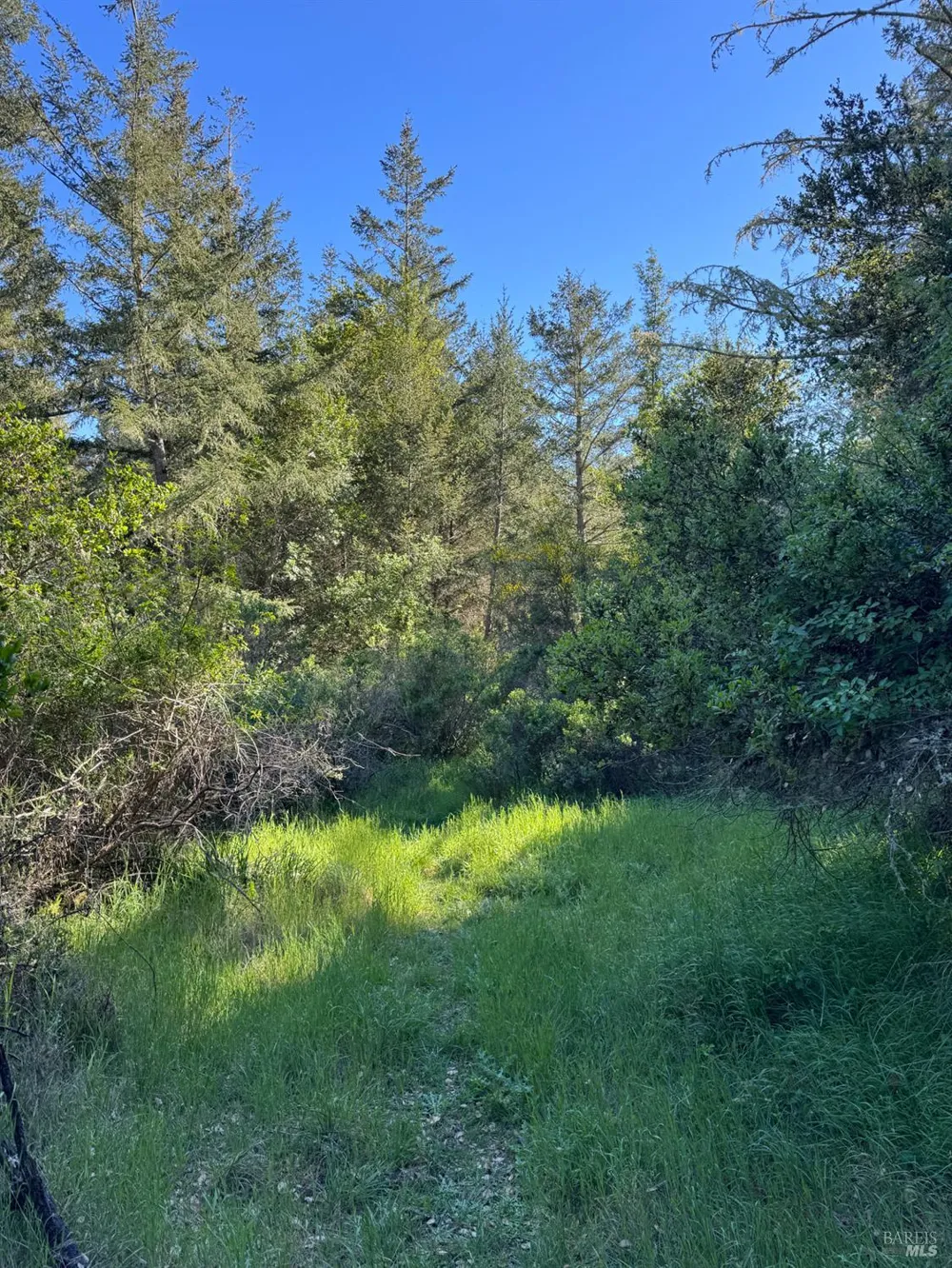Vista Avenue Forest Knolls, CA 94933