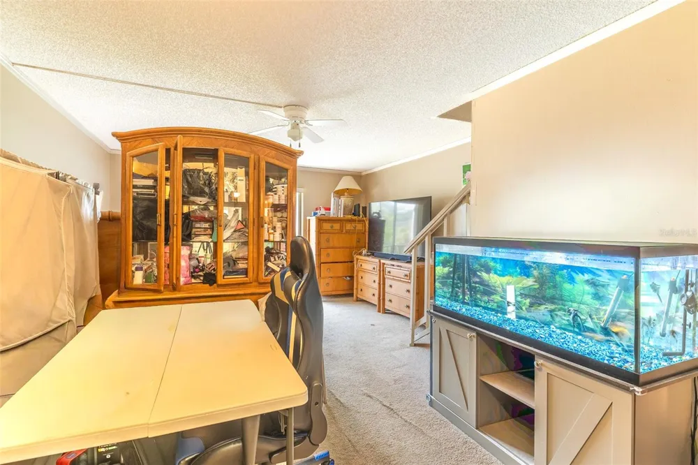 709 RUSSELL LANE #222 Brandon, FL 33510