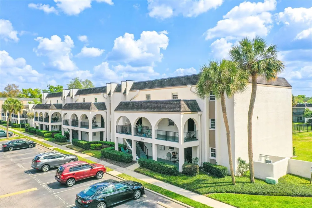 709 RUSSELL LANE #222 Brandon, FL 33510