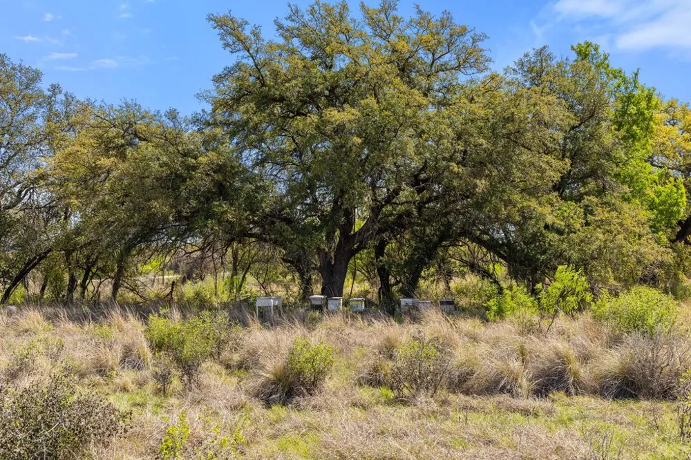 9580 Smith West Ranch Road Round Mountain, TX 78663