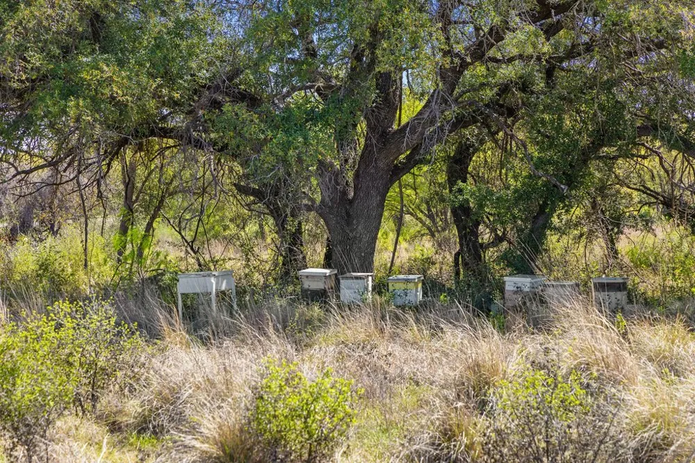 9580 Smith West Ranch Road Round Mountain, TX 78663