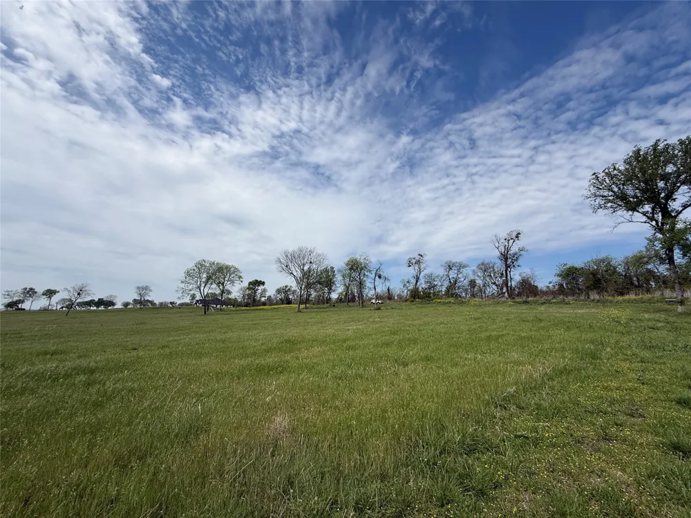 Bridgewater Boulevard Kerens, TX 75144