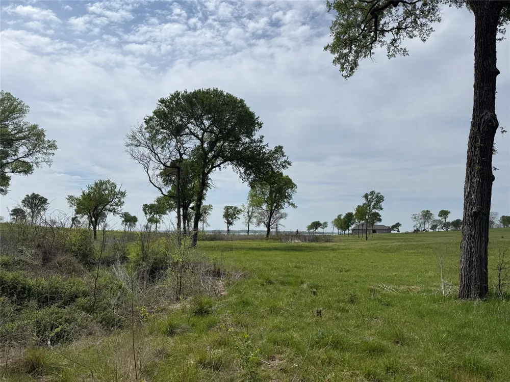 Bridgewater Boulevard Kerens, TX 75144
