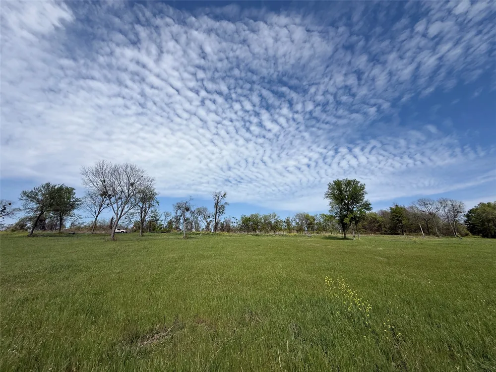 Bridgewater Boulevard Kerens, TX 75144
