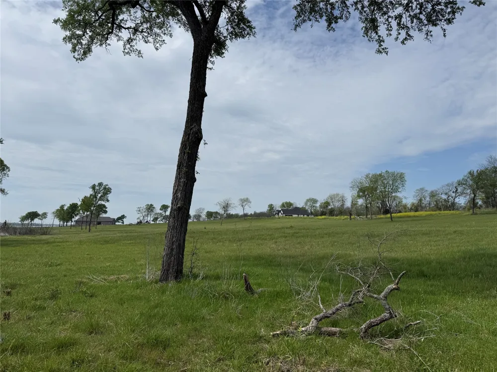 Bridgewater Boulevard Kerens, TX 75144