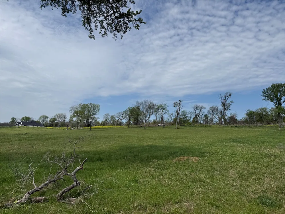 Bridgewater Boulevard Kerens, TX 75144