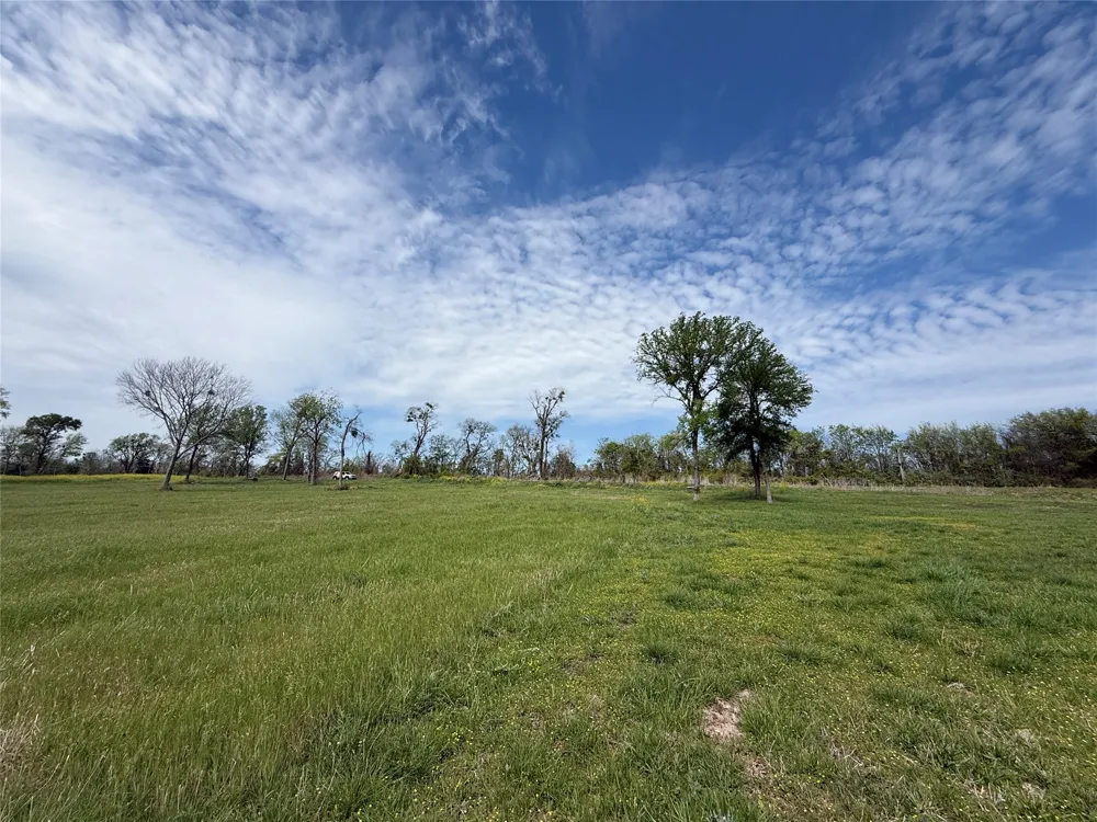 Bridgewater Boulevard Kerens, TX 75144