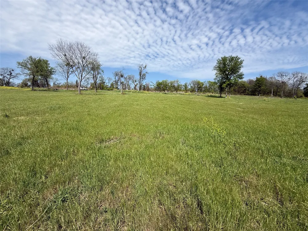 Bridgewater Boulevard Kerens, TX 75144