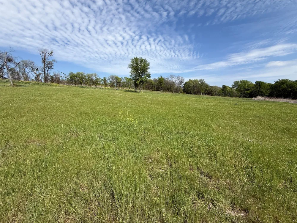 Bridgewater Boulevard Kerens, TX 75144