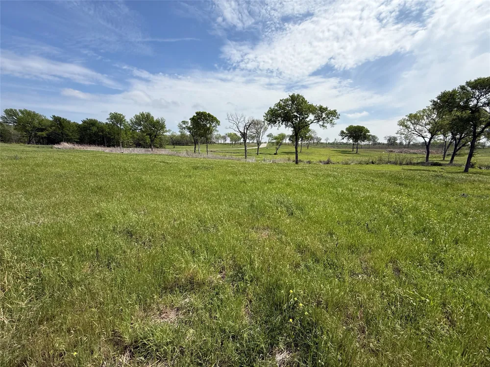 Bridgewater Boulevard Kerens, TX 75144