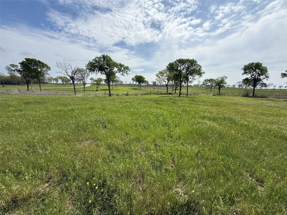 Bridgewater Boulevard Kerens, TX 75144