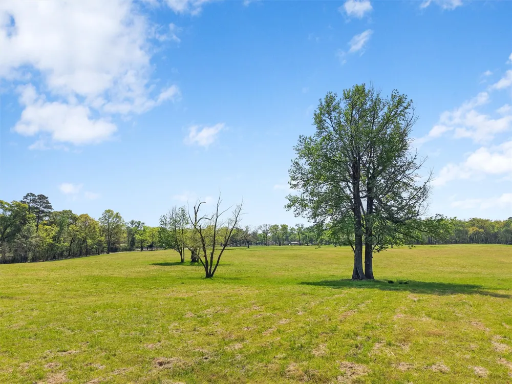 520 SE CR 4385 Scroggins, TX 75480
