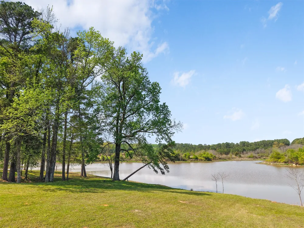 520 SE CR 4385 Scroggins, TX 75480