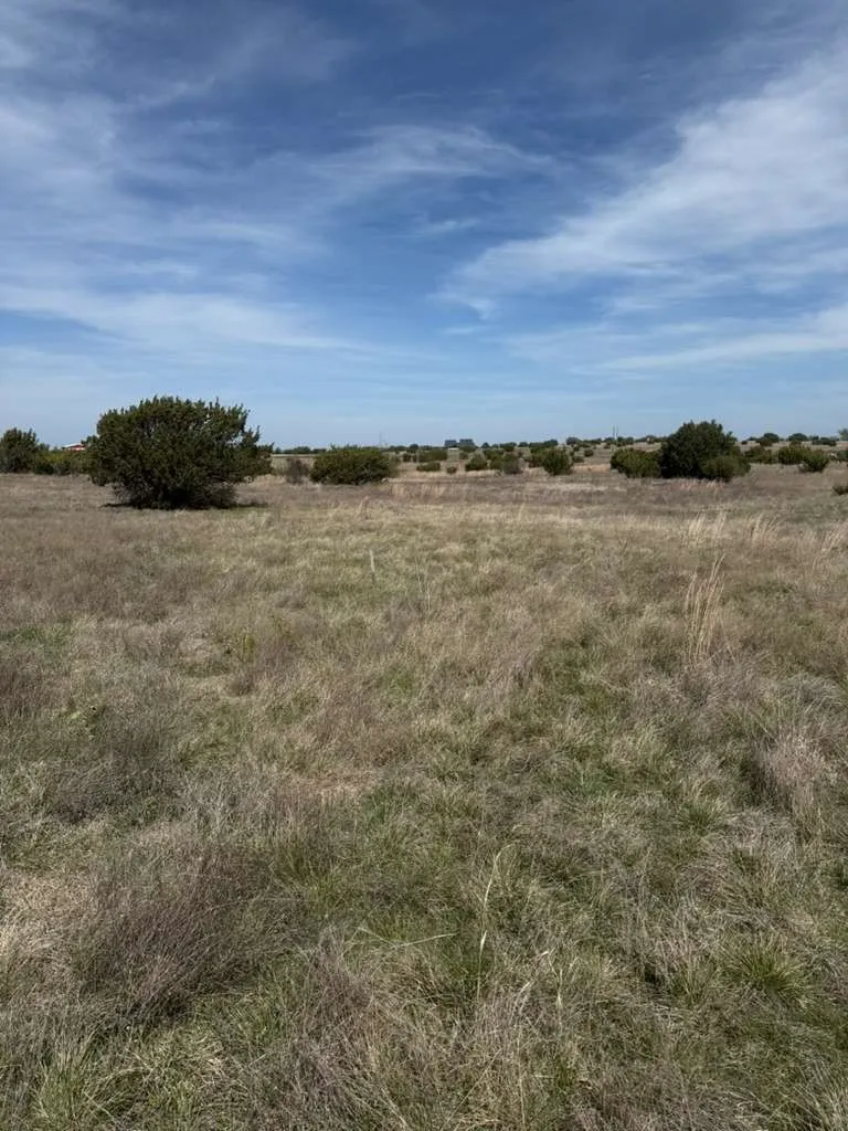 205 Gilmore Court Lipan, TX 76462