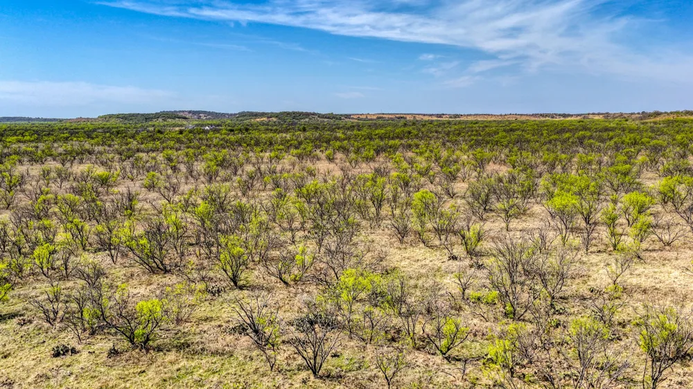 5600 Roney Road Jermyn, TX 76459