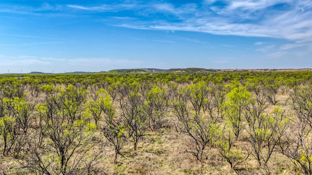 5600 Roney Road Jermyn, TX 76459