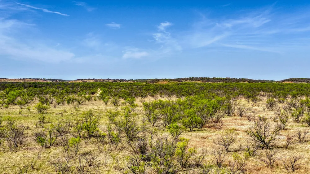 5600 Roney Road Jermyn, TX 76459