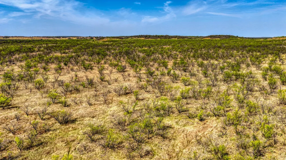 5600 Roney Road Jermyn, TX 76459