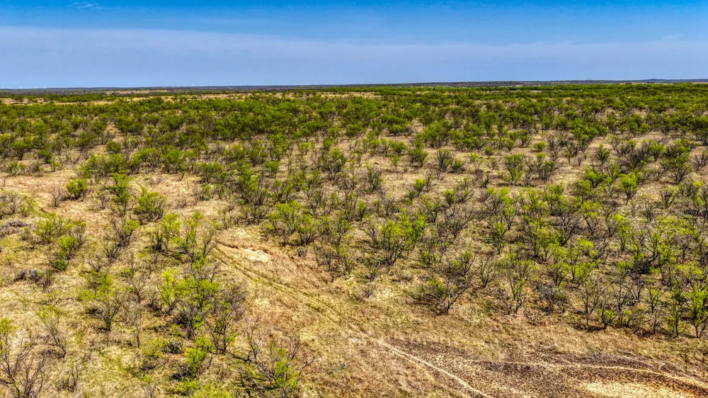 5600 Roney Road Jermyn, TX 76459